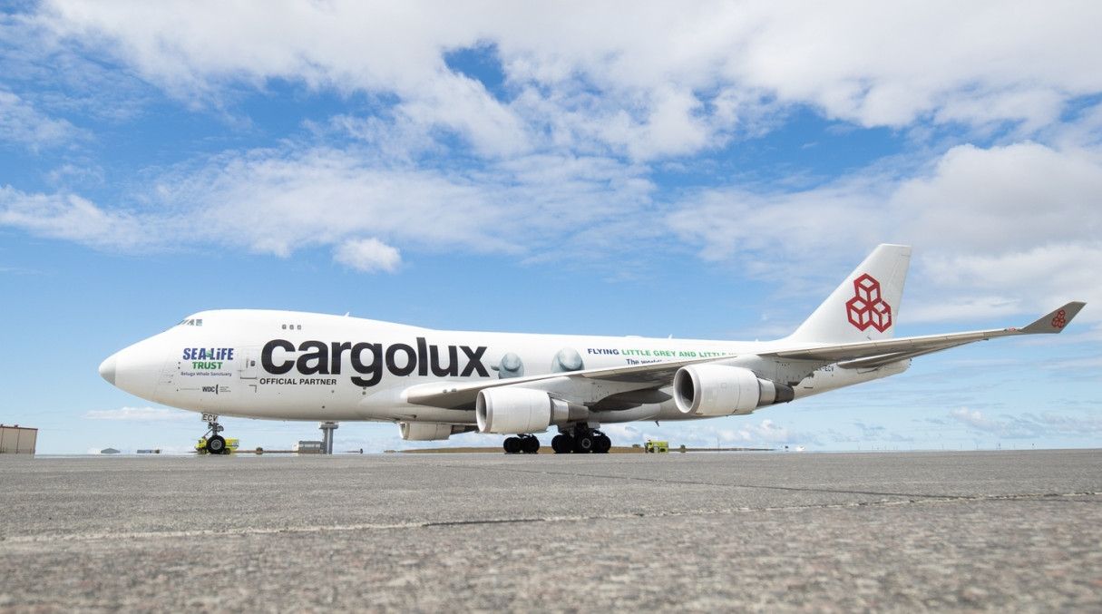 日本空运-卢森堡货运航空成功将“小白”和“小灰”安全运抵冰岛