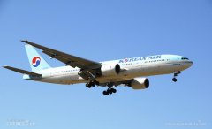 日韩地方航线陆续停飞 8月大韩航空或削减航班量-国际快递订舱