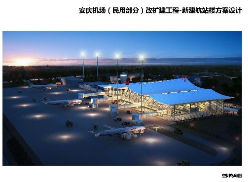 安庆机场新建航站楼设计方案公示-空运宠物