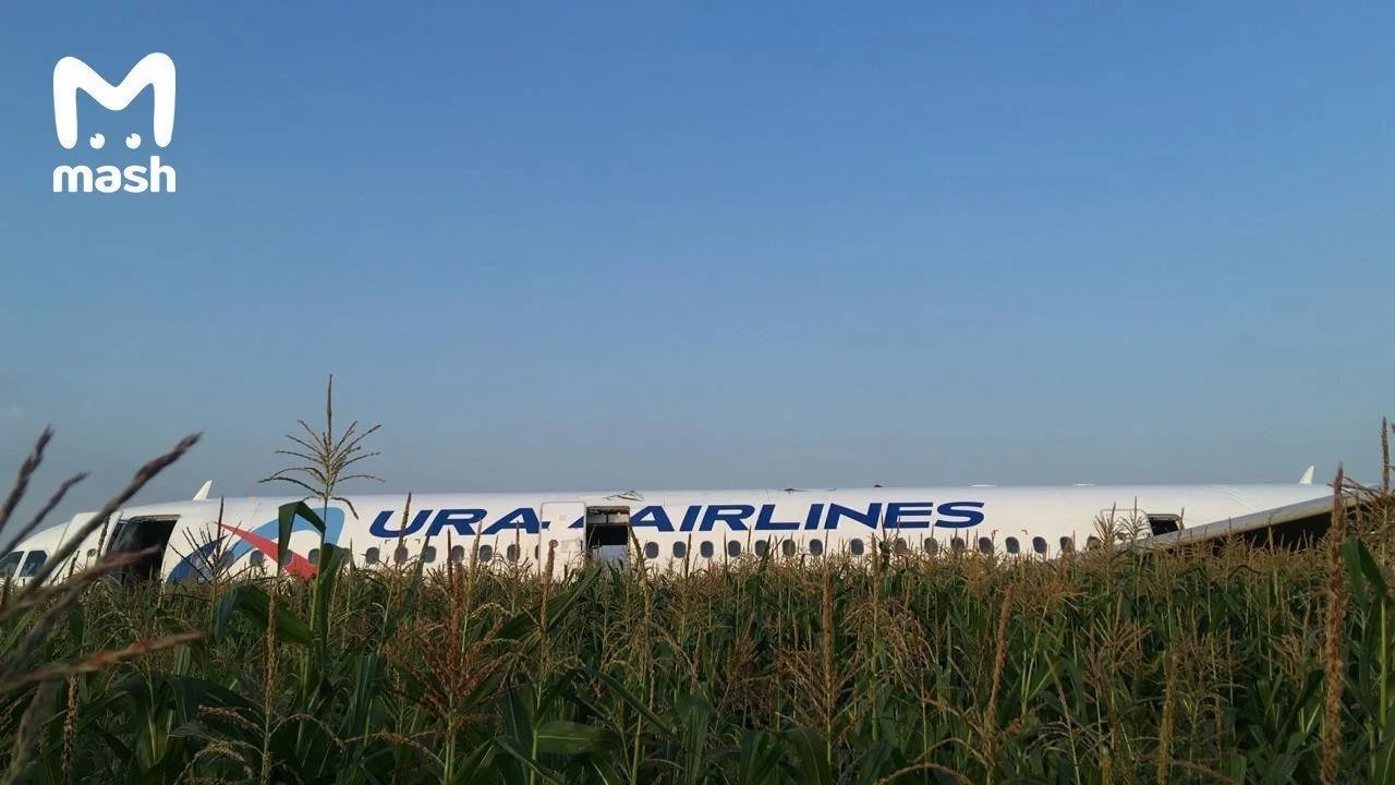 俄乌拉尔航空客机遭遇鸟击引擎起火紧急备降 10人受伤