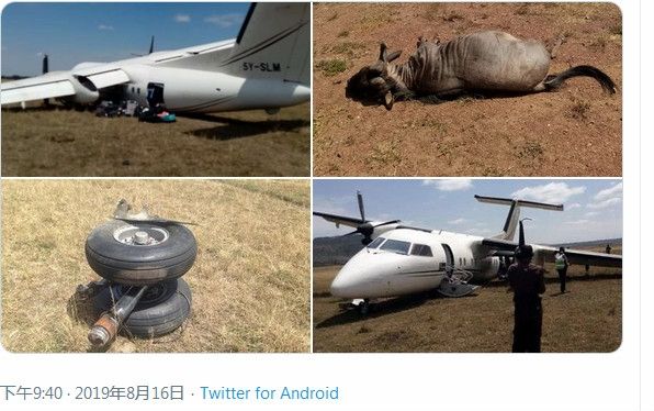 肯尼亚一架飞机降落时与角马相撞，机上乘客均未受伤-海运费在线查询
