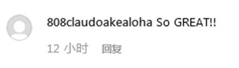 一匹小马“坐”飞机 网友调侃：给它上杯咖啡吧！-香港国际快递