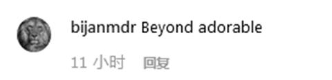 一匹小马“坐”飞机 网友调侃：给它上杯咖啡吧！-香港国际快递