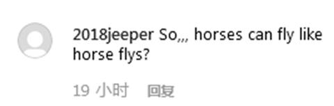 一匹小马“坐”飞机 网友调侃：给它上杯咖啡吧！-香港国际快递