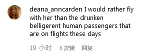 一匹小马“坐”飞机 网友调侃：给它上杯咖啡吧！-香港国际快递