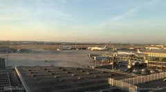 巴黎机场频发“失猫案” 失主怒告机场和航司-乌克兰航空