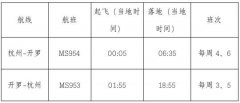 杭州直飞开罗航线11月开通 航线网络实现覆盖五大洲-海运费