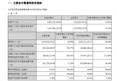 沙特阿拉伯的空运-华夏航空第三季度净利2.25亿元 同比增长196.77%