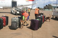 阿联酋的国际快递-行李频失窃 肯尼亚航空和埃塞航欲停飞朱巴航线