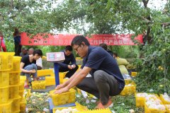 南美国际空运-南航十年架起18万人的援疆之路