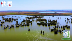 空运价格-“塞上江南” 明珠璀璨——我和宁夏有个约会