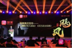 北美国际空运-瓜分2亿?国美美店招募百万店主