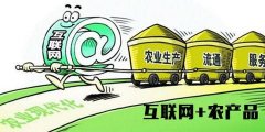 上海货运公司-看地标单品如何破解县域农产品电商发展困境