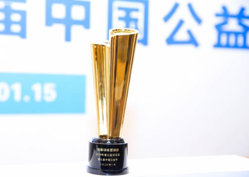 日日顺物流荣获“2019年度公益项目奖” 为行业发展注入新动能