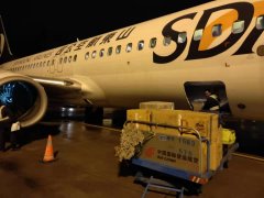 亚美尼亚的空运价格-柬埔寨支援中国抗击新型冠状病毒疫情 山航协助运输5.9