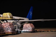迪拜空运-中俄货运包机“菜鸟号”首航 快递时效加速80％