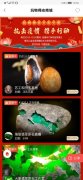 沙特的空运-玩物得志开展义拍义卖,携手商家抗击疫情驰援武汉