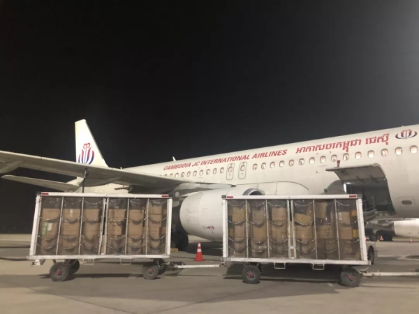 海运费在线查询-柬埔寨JC国际航空助力运送防疫医疗物资