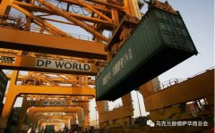 埃塞俄比亚-DP World将收购乌克兰尤兹尼港TIS集装箱码头的多数股权