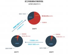 印尼雅加达-民航大蓝洞：疫情影响下的国内航司春运概况系列二