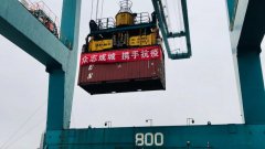 国际海运费查询-中外运集运为医用物资打通绿色通道 助力抗“疫”
