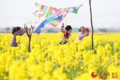 纽约国际空运-物流網絡——科學調度不誤生產