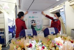 哈萨克斯坦空运最大规模!中国民航51架包机接7000余名援鄂医护人员回家