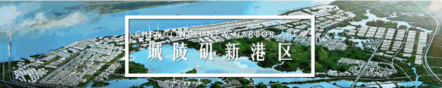 宁波海运费最新进口80吨猪肉冻品进入保税仓储——标志着城陵矶综保区打造进口保税冻品集散中心取得突破性进展