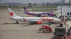 匹茲堡空运价格疫情致航班停飞 泰国8家航司联名向政府申请低息贷款