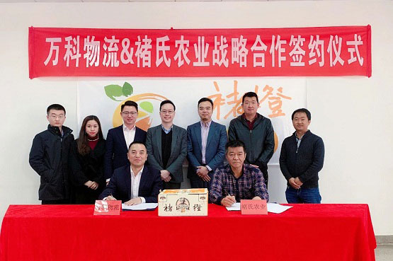 万纬物流招商平台上线 快速解决多温区仓储难题