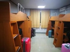 商学院中外合作办学项目
