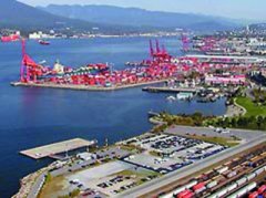 疫情下三大航运细分市场走势如何?