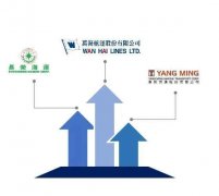 万海盈利!长荣和阳明海运积极寻求政府援助
-蒙特利尔空运价格
