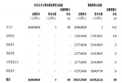 继南航资本后 东航产投参与航旅纵横2.41亿元增资（附图）
-玻利维亚海运