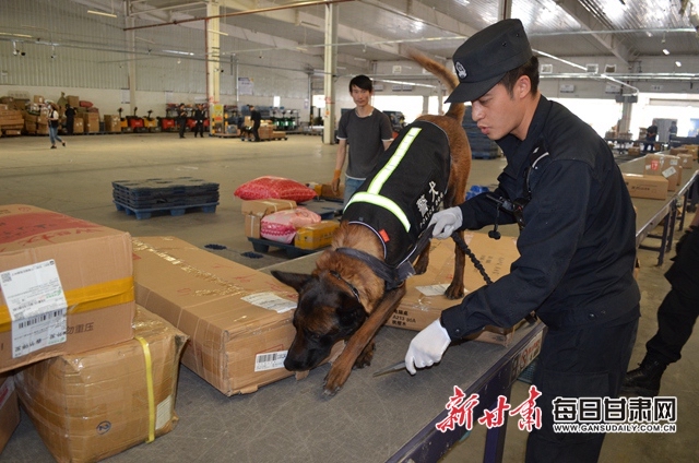 甘肃省物流寄递行业禁毒宣传暨毒品实战查缉行动本日启动