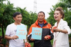 申通董事长陈德军亲赴湖北田间地头，助力农产品上行
-深圳出口空运