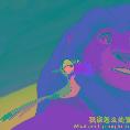 论述了启动第三方物流的决定因素
-海运费查询