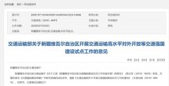 打造专业化国际物流中转基地
-日本海运