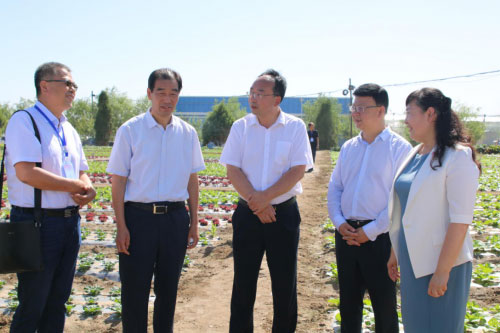 宁夏固原原州区冷凉蔬菜节盛大启幕