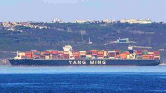 为阳明海运全球船队增添竞争力
-国际物流查询