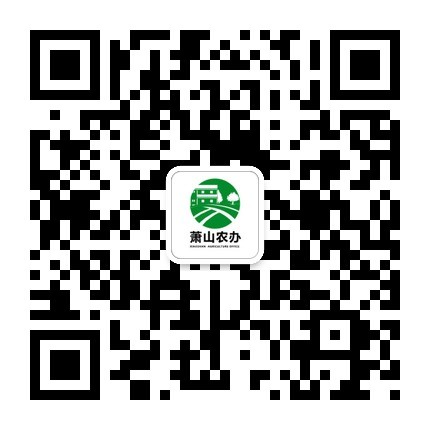钱塘江今年第2号洪水出现 沿线水位将可能小幅回升