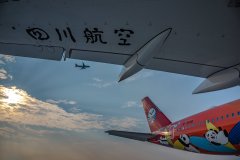 旅客可通过川航官方网站、APP、微信公众号、官方服务热线95378及直属柜台购买
