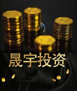晟宇投资对疫情之下的投资思考
-空运货运代理国际