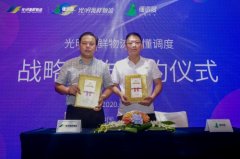 总部统一汇总各分仓运营数据
-约翰内斯堡海运费