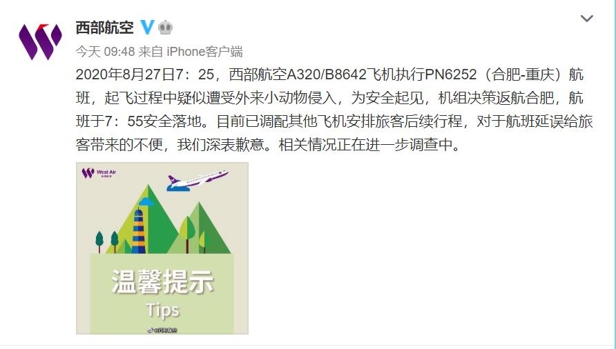 腾飞过程中疑遭小动物侵进 西部航空PN6252已返航合肥
