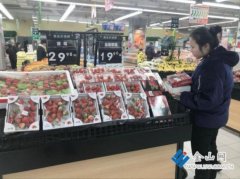 有的大棚一畝一天採收500克至1000克
-国际物流费用