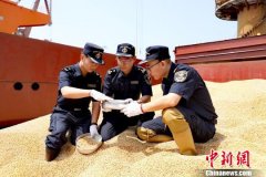 美盘豆类商品已经不再平静
-土耳其空运