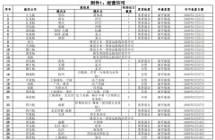  附件2.国内公司国际航线加班包机批复.pdf 附件3.境外公司国际航线加班包机批