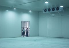 总经理曾就职于中国的冷链物流公司
-十大空运公司