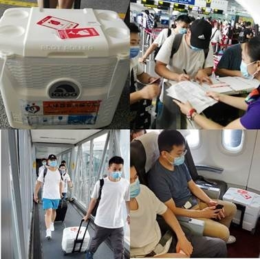 组建了专项保障团队并进进战时状态
-深圳出口